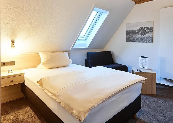 Adler Schillingsfürst