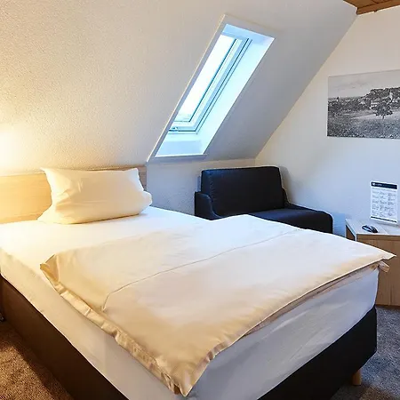 Adler Schillingsfürst